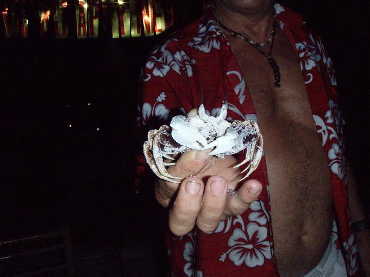 Anaconda hp dec 023.jpg